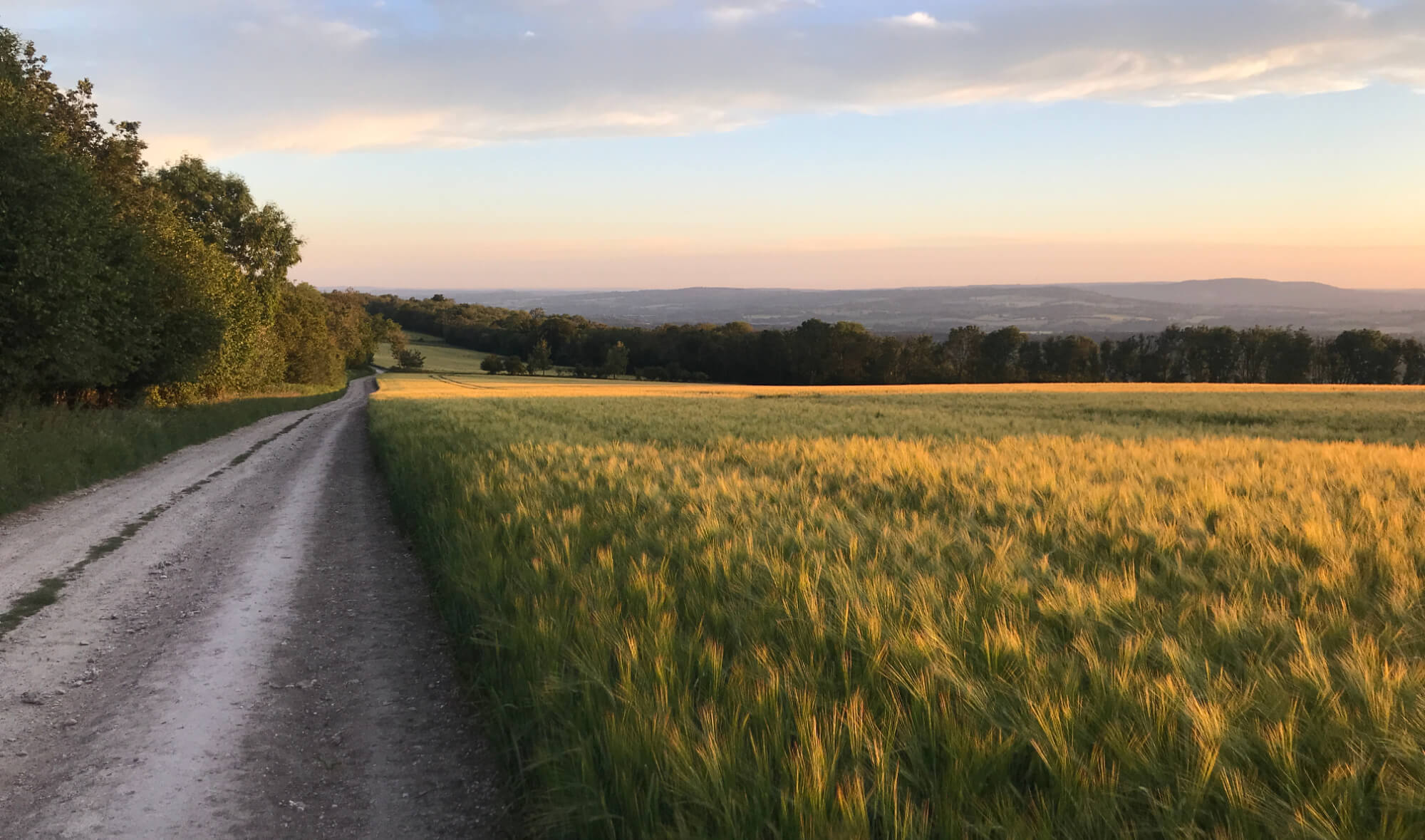 South Downs Way Completion – Full Report